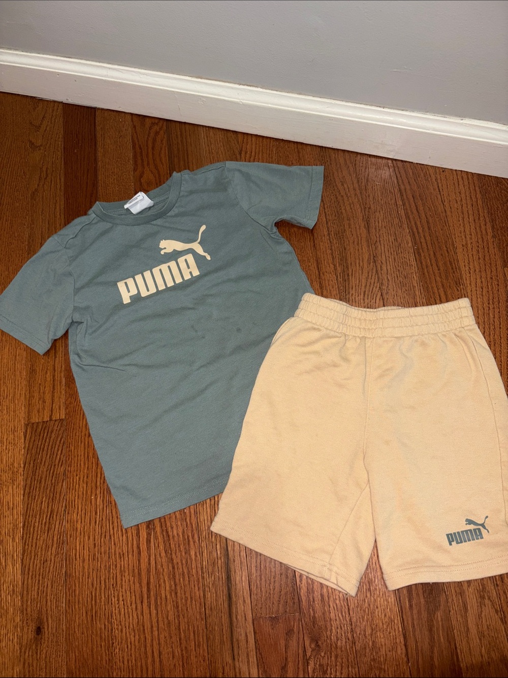 Puma Sage Green Tee and Cream Logo Shorts Set